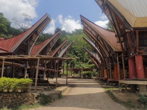 [INDO] Sulawesi - Toraja Tribe